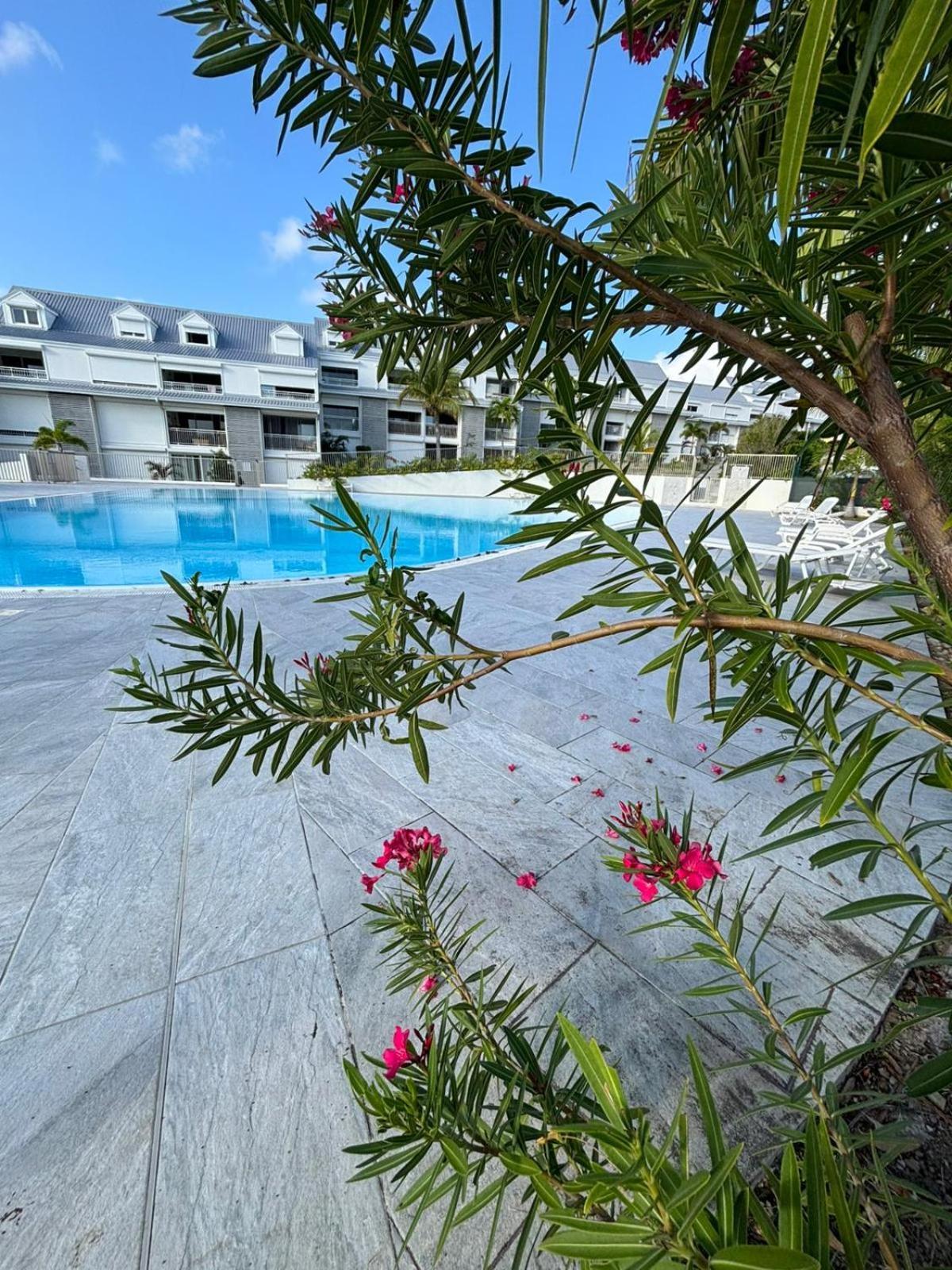Easy Friendly Sxm Leilighet Cul de Sac Eksteriør bilde